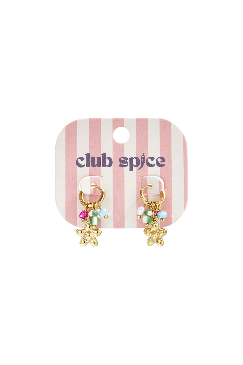 Stainless Steel Drop Earrings Flower Casual Daily Romantic Series Women's jewelry