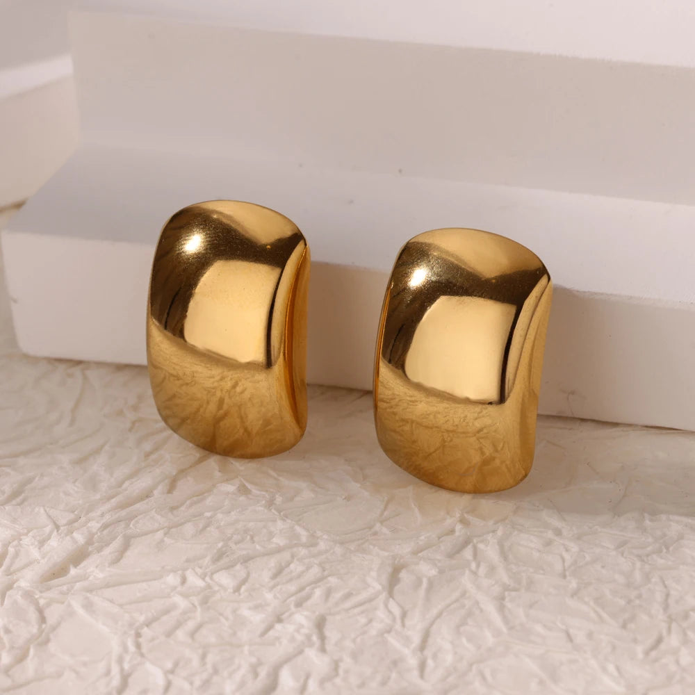 Elegance Geometry Texture Earrings