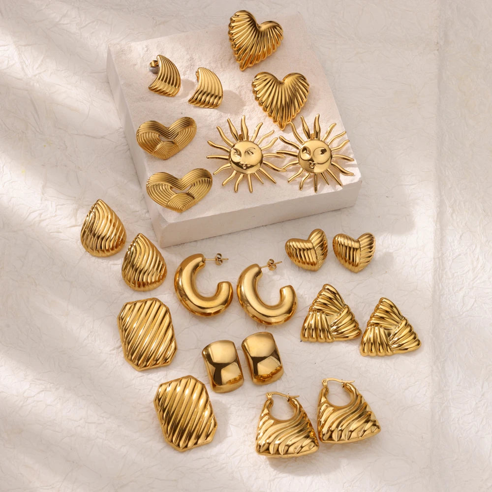 Elegance Geometry Texture Earrings